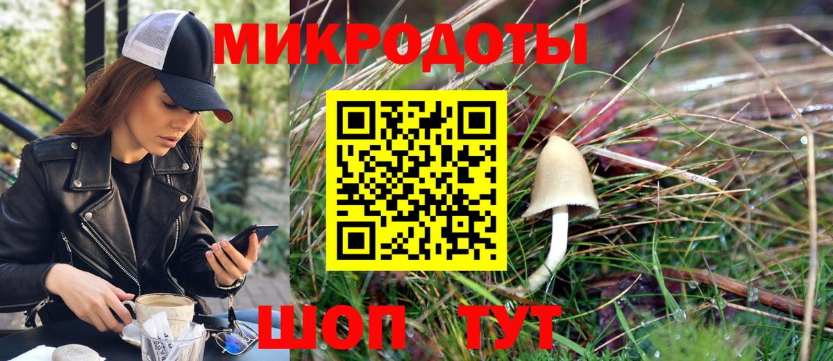 Буйнакск  Псилоцибиновые грибы мухоморы  что такое наркотик  Вход с VPN 