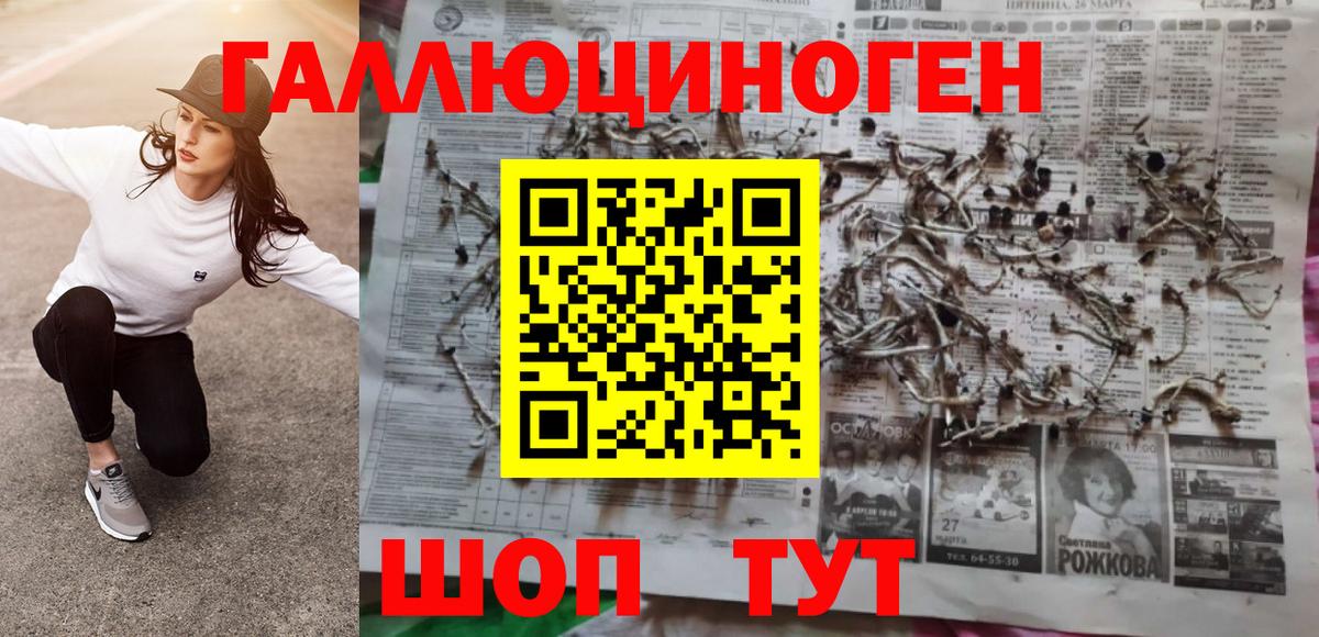 Псилоцибиновые грибы GOLDEN TEACHER Буйнакск